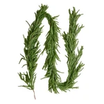 Vevor Faux Norfolk Christmas GARLAND9FT Artificial Greenery Xmas Decor Fireplace. Fixed Price $29.99.
