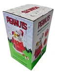 Peanuts Snoopy Woodstock Dog House Color Changing Led Lights Christmas New Box. Fixed Price $39.95.