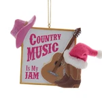 Kurt Adler Pink Western Country Music Cowgirl Hat Ornament D4692 Honky Tonk. Fixed Price $12.00.