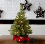 National Tree Company Pre-lit Artificial Mini Christmas Includes Lights. Fixed Price $30.00.