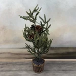 Pottery Barn Lit Faux Pine Tree Basket 24 Green Brown Christmas Holidays Ob. Fixed Price $59.95.