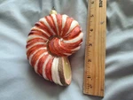 Nautilus Ocean Seashell Glass Christmas Ornament, Holiday Cor, Deco. Fixed Price $19.75.