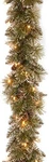 National Tree Company Pre-lit Artificial Christmas Garland 6 Feet Glittery Green. Fixed Price $88.26.