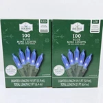 Holiday Time - 100 Blue Mini Led Christmas Lights Green Wire Qty 2. Fixed Price $8.95.