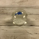 Seapoot Group Art Glass Paperweight Blue Fish Controlled Bubbles American Design. Fixed Price $30.00.