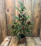 Pottery Barn 22" Lit Faux Pine Tree Tabletop Christmas Holiday Decor. Fixed Price $69.00.