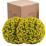 21.6" Artificial Topiary Flower Balls Set Of 2,LARGE Hanging Grass For H.... Fixed Price $248.15.