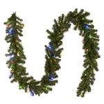National Tree 9 Ft. Pre-lit North Valley Spruce Garland W/dual Color Led Lights. Fixed Price $46.99.
