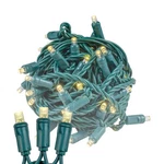 Novelty 11 Feet 50 Led Warm White Christmas Mini String On Green.... Fixed Price $30.45.