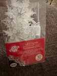 White Star 10-LIGHT Led Mini String Lights Battery Operated For Holiday, Crafts. Fixed Price $5.00.