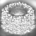 Outdoor Fairy Lights Waterproof, Plug String With 8 Modes Timer, 39.... Fixed Price $93.98.