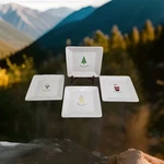 Bia Cordon Bleu Set Of 4 Square 7.25" Dessert Plates Christmas Theme. Fixed Price $14.40.