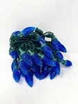Niosta C9 Blue Christmas Lights 50 Led / 30 Ft. Fixed Price $29.99.