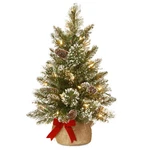 New National Tree Company Pre-lit Artificial Mini Christmas 2 Ft. Fixed Price $44.00.