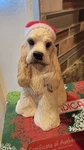 Sandicast Sitting Buff Cocker Spaniel Santa Hat Christmas Dog Ornament New. Fixed Price $20.00.