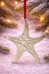 Holiday Lane Seaside Starfish Ornament Coastal Beach Christmas Tree Decor Silver. Fixed Price $14.99.