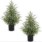 2FT Pre-lit Norfolk Pine Christmas Tree With 50 Led Lights Compact Holiday .... Fixed Price $49.99.