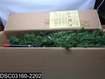 NRV7-358-60 National Tree Co. Pre Lit 6' North Valley Spruce Pencil Slim. Fixed Price $104.54.