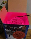 Vintage Holiday Classics 100 Light Super Sphere 6" Red New. Fixed Price $25.15.