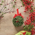 New! Raz Imports 5.5" Kissing Ball Christmas Ornament Tree/wreath/mistletoe. Fixed Price $12.99.