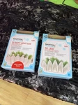 Martha Stewart Living Lot Of 2 Packs Led String Lights. Mini & C3. New. Fixed Price $36.00.