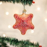 Old World Christmas Red Starfish Glass Nautical Coastal Ornament 12608. Fixed Price $17.88.