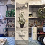 Wondershop Target Potted Balsam Fir Led Christmas Tree Pre-lit 210 Tips 35 Ww. Fixed Price $28.95.