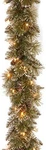 National Tree Company Pre-lit Artificial Christmas Garland, Green, Glittery. Fixed Price $70.79.