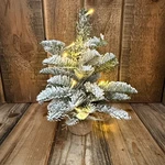 Pottery Barn 12" Flocked Lit Mini Pine Tree Tabletop Christmas Holiday Decor. Fixed Price $49.00.