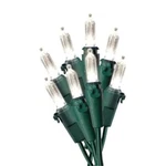 Celebrations Led Warm White Twinkle Sparkle Mini 100 Ct String Christmas Lights. Fixed Price $25.00.