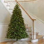 National Tree Company Non-lit Christmas 7' North Valley Spruce $475 OS48. Fixed Price $227.49.