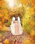 Angel Wings Large Costume Cosplay Adult Fairy Dress Fashion Halloween Christmas. Fixed Price $185.00.