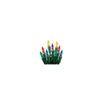 Holiday Wonderland 48151-88A Christmas Light Set, String-to-string, Multi, 2 X. Fixed Price $34.98.