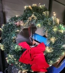Optic Glow By Puleo Color Changing 20 Fiber Christmas Wreath. Fixed Price $49.99.