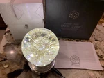 Restoration Hardware Starry Light Led Snow Globe Glass Lamp Usb Fairy New. Fixed Price $36.99.