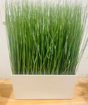 Ikea Fejka Artificial Potted Plant With White Indoor Outdoor Grass *set Of 2. Fixed Price $99.98.