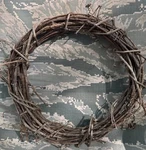 2 Natural Grapevine Wreaths 10 Inches Ready For Your Creative Project. Fixed Price $9.99.
