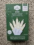 Holiday Time Warm White Mini Led Christmas Lights 300 Count Wire. Fixed Price $19.99.