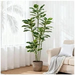Artificial Rubber 6FT Faux Plants Indoor Fake Tree With White Pl.... Fixed Price $154.51.