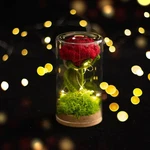 Crochet Flower Glass Dome With Led Fairy Lights - Everlasting Rose Gift. Fixed Price $19.99.
