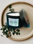 Home Made Eucalyptus Scented Candle. Fixed Price $6.50.