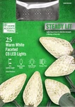 Home Accents Holiday 1010 936 945 Steady Lit 25CT Warm White Led C9 16' - New!. Fixed Price $14.95.