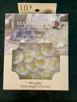 Manor Lane Home Collection Daisy Shimmer String Lights - 10 Feet. Fixed Price $14.99.