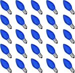 Goothy 25 Pack C7 Led Blue Christmas Replacement Light Bulbs, Shatterproof. Fixed Price $24.76.