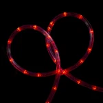Northlight 18FT Red Led Christmas Rope Lights. Fixed Price $31.49.