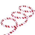 Indoor/outdoor Led Christmas Candy Cane Rope Lights, Cool White, 24', By Holiday. Fixed Price $40.49.