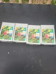 Lot Of 4 Holiday Time 25 C7 Multicolor Christmas Lights Strings Indoor/outdoor. Fixed Price $29.99.