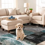 Rugshop Store Abstract Circle For Living Room Turkish 5X7. Fixed Price $86.73.