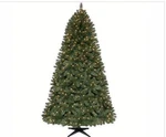 7.5' Home Accents Wesley Pine Spruce Pre Lit Quick Set Christmas Tree Dual Color. Fixed Price $159.99.