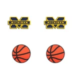 Ncaa Michigan Wolverines Team For Crocs Shoe Charms Jibbitz - 4 Pieces. Fixed Price $13.99.